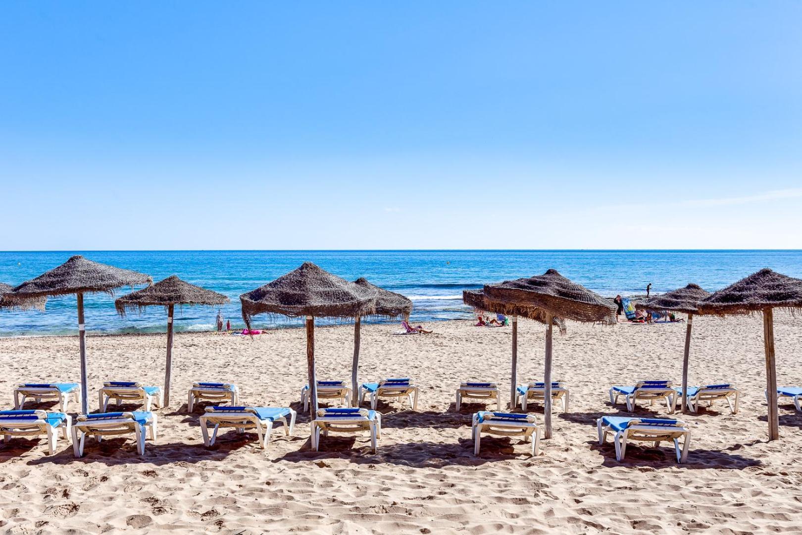 Estudio Jardin Del Mar Torrevieja Eksteriør billede