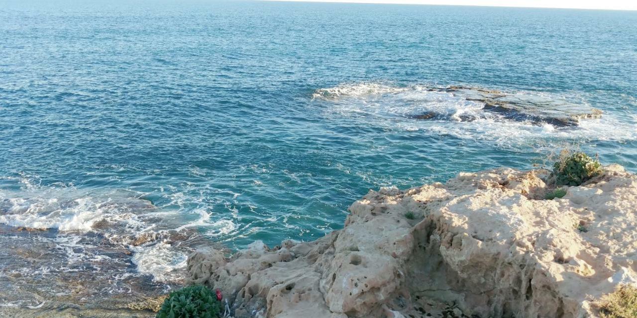 Estudio Jardin Del Mar Torrevieja Eksteriør billede