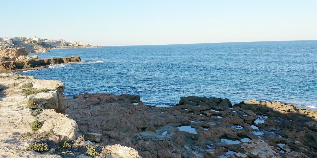 Estudio Jardin Del Mar Torrevieja Eksteriør billede